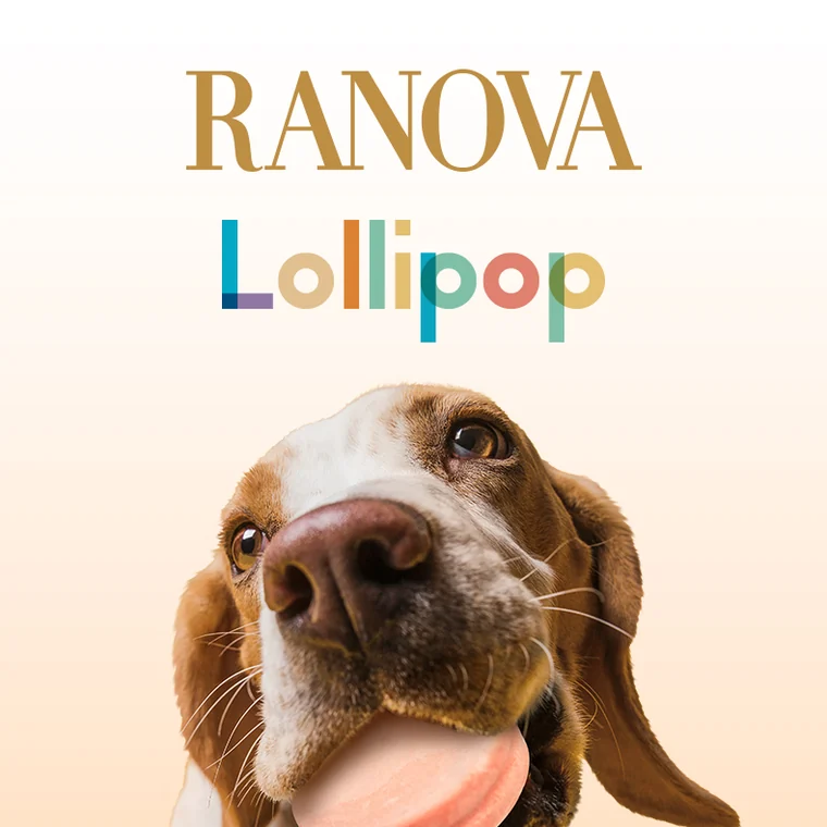 Dog with a RANOVA lollipop