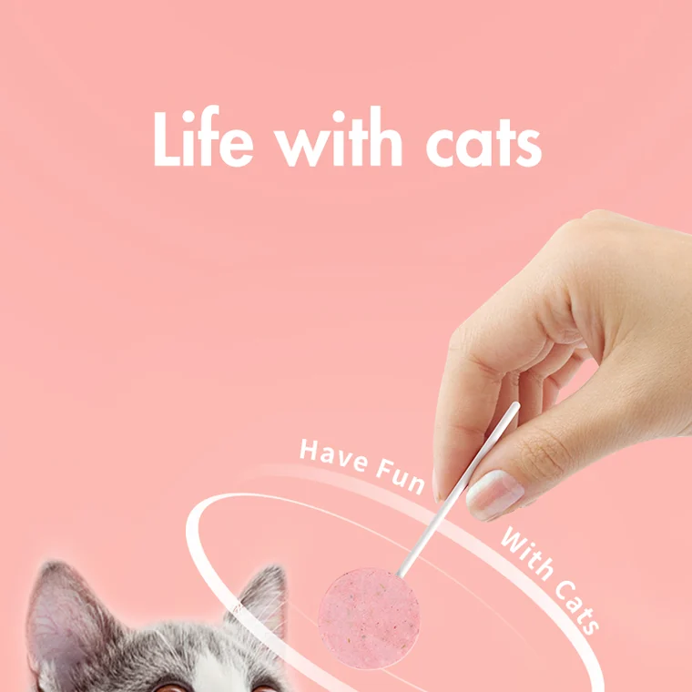 Kitten playing with a RANOVA lollipop